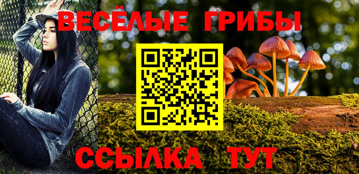 Галлюциногенные грибы Cubensis  Вход с VPN  Воронеж  Галлюциногенные грибы мицелий 